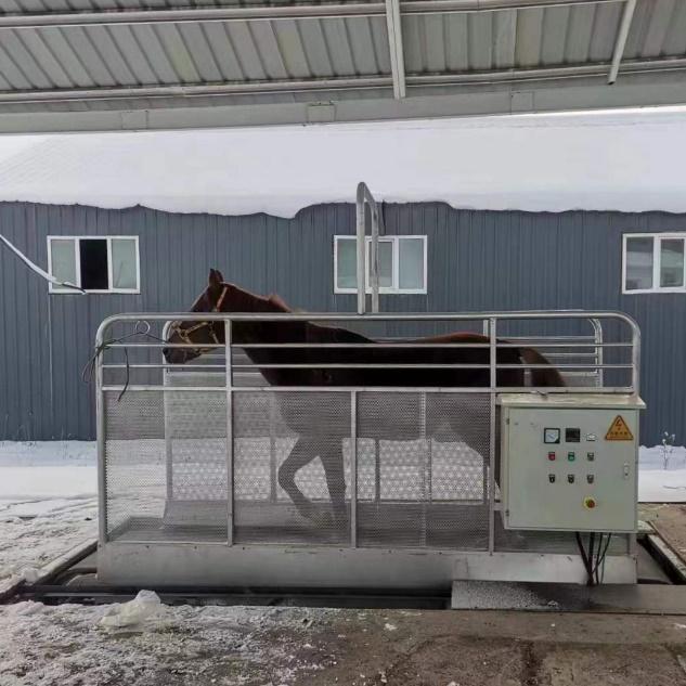 Horse Treadmill