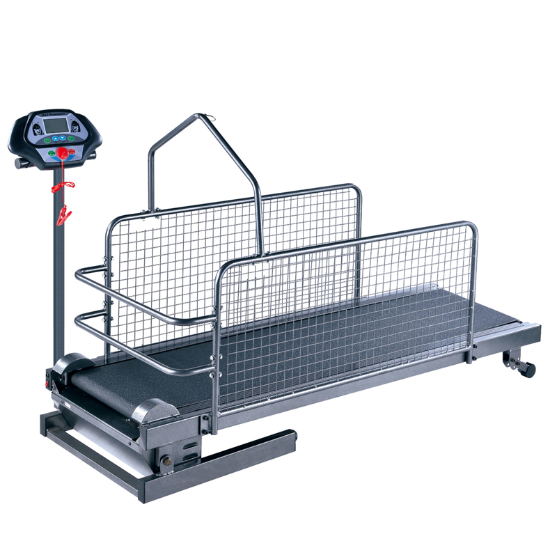 C300F Regular Pet Treadmill with Mesh Side Panels and Harness Bar