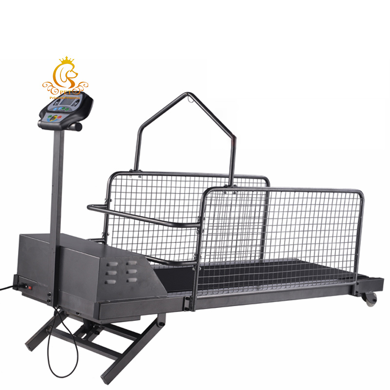 Professional Regular Pet Treadmill with House-Frame Harness Bar