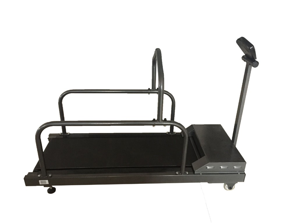 Compact Regular Pet Treadmill with Side Rails for Home and Clinic